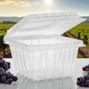 THE GARDEN PARTY 1 PINT APET CLAMSHELL (516CS)