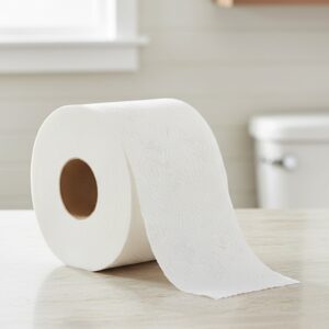 NOVA 2-PLY JUMBO TISSUE ULTASOFT WHITE 9INCH (12CS )