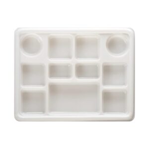 11 COMPARTMENT RECTANGLE PLATES - 250/CS