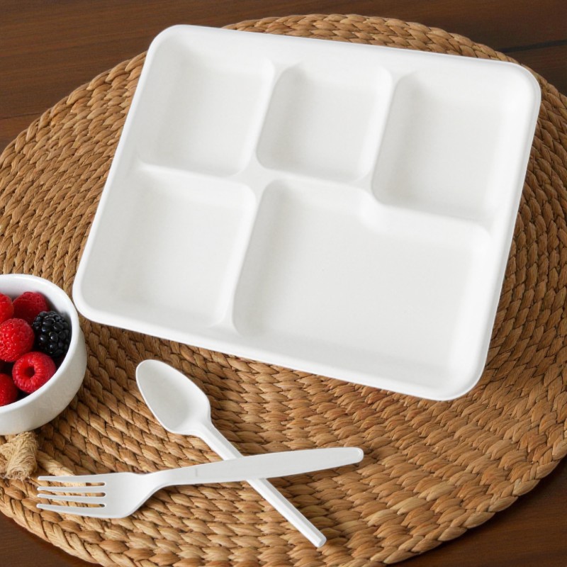 BIO-5 COMPARTMENT SCHOOL TRAY 5 COMPARTMENT BIODEGRADABLE RECTANGLE SCHOOL TRAY 500/CS