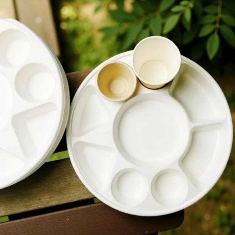 BIO-9 COMAPARTMENT ROUND 9 COMAPARTMENT BIO DEGREDEBLE ROUNDDINNER PLATE 200/CS