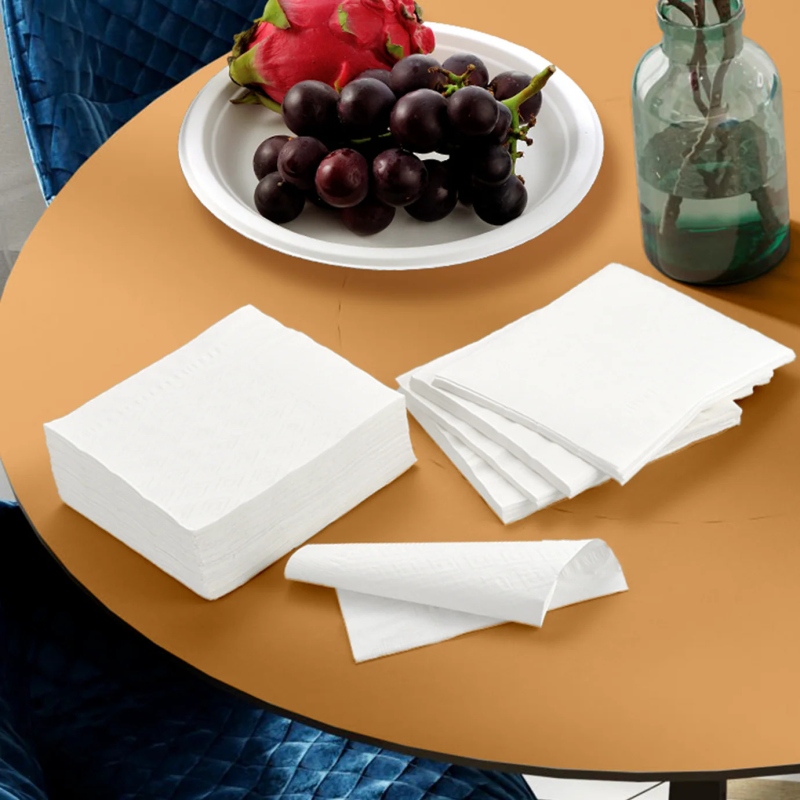 BIOCEAN – DINNER NAPKIN 17 X 17 1PLY 4000/CS