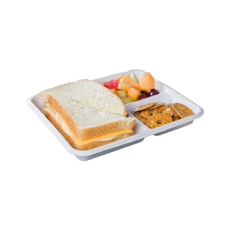 MARK Biodegrdable 3 Compartment 10″ Rectangle Plate 500/Cs