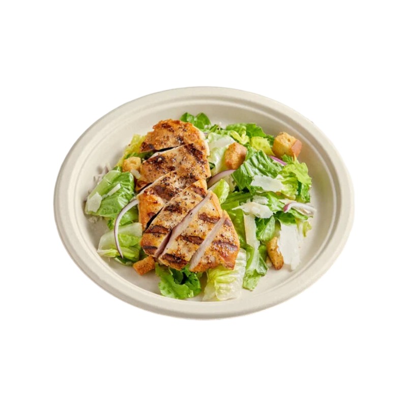 Biodegrdable 10″ Round Plate 500/Cs