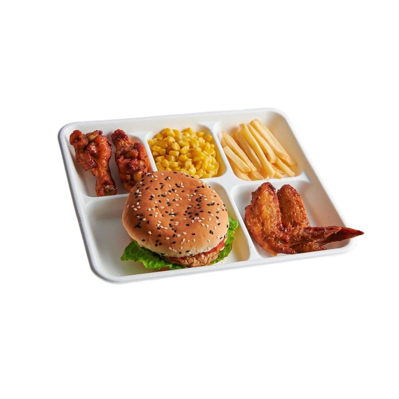 Biodegrdable 5 Compartment School Trays / Plate 500/Cs