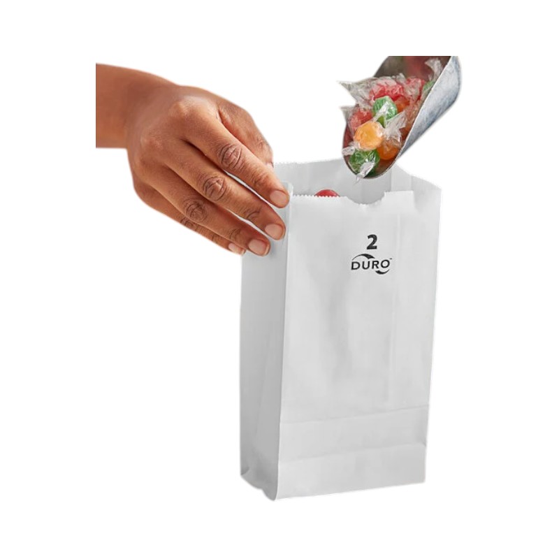 Kraft Bag White #2 – 500 Counts
