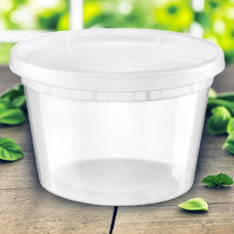 EMPRESS Heavy Duty Deli Containers 16oz Clear Combo Pack – 240/Cs