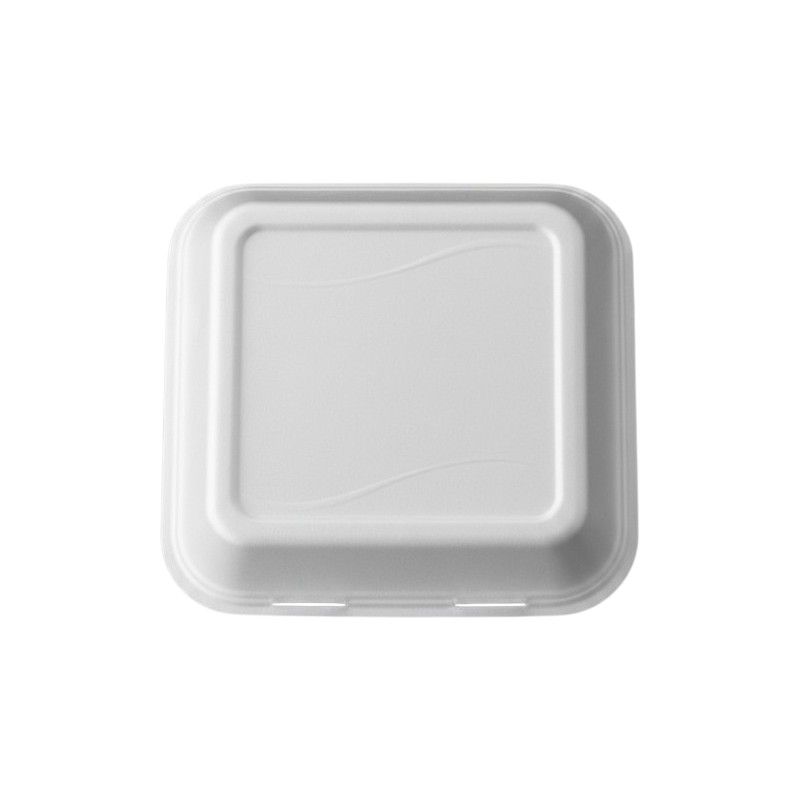 DARNEL S1 FOAM HINGED LID TOGO CONTAINER 9X9X3 200/CS