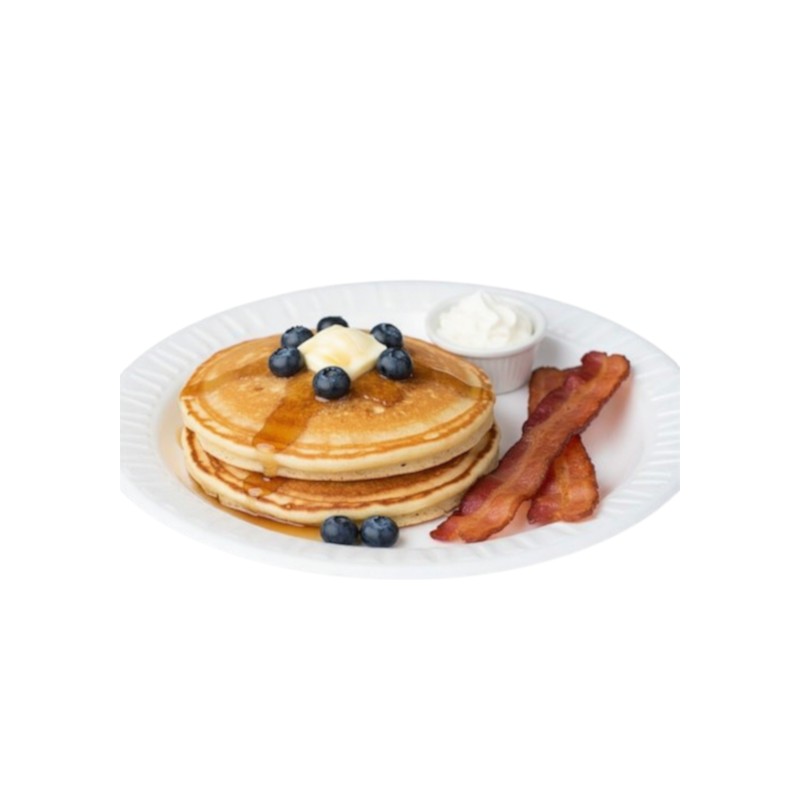 9″ round Foam Plates 500/ Case