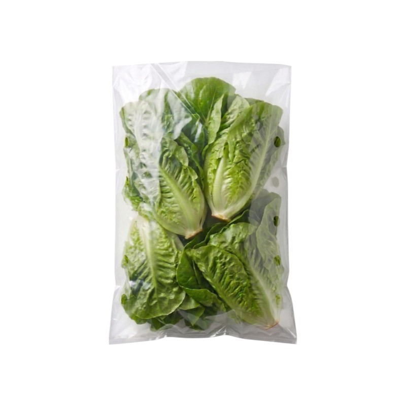 POLY BAG VENTED 8+4X18